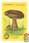 Югославия, Ядовитые грибы