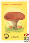 Югославия, Ядовитые грибы