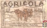 Agricola impregnated safety matches average contents 50 made in Belgiu