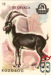 15. Kozorog (Горный козёл), 50 DRVACA, 1957