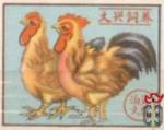 Rooster and chicken