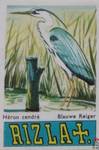 Heron cendre Blauvwe Reiger RIZLA +.