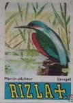 Martin-pecheur Ijsvogel RIZLA +.