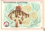 1970-Югославия. Аквариумные рыбы
