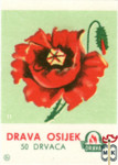 Drava Osijek 11