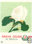 Drava Osijek 5