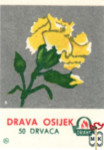 Drava Osijek 6