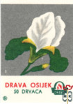 Drava Osijek 5