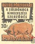 Sertéshízlalás MSZ 30 f ›Biztos pénzforrás a süldőkoca kihelyezési sze