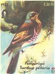 Fengorigo (Turdus pilaris) Рябинник