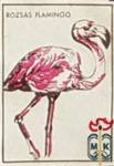 Rozsas Flamingo