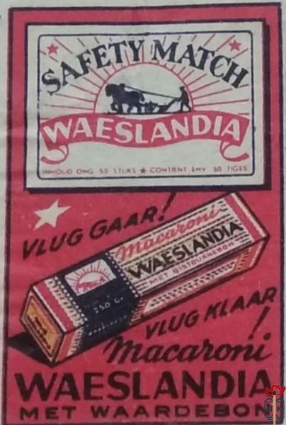 Waeslandia Vlug gaar! vlug klaar Macaroni Waeslandia met premiebon Saf