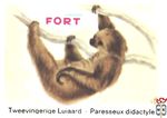 Tweevingeride Luiaard - Parasseux didactyle FORT chromos