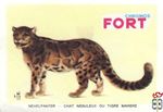 Nevelpanter - Chat nebuleux ou tigre marbre FORT chromos