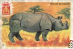 Indische neushoorn VIVO