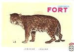 Jagoear - Jaguar FORT chromos