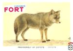 Prairiewolf of coyote - Coyote FORT chromos