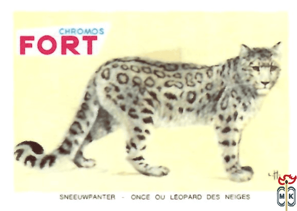 Sneeuwpanter - Once ou leopard des neiges FORT chromos