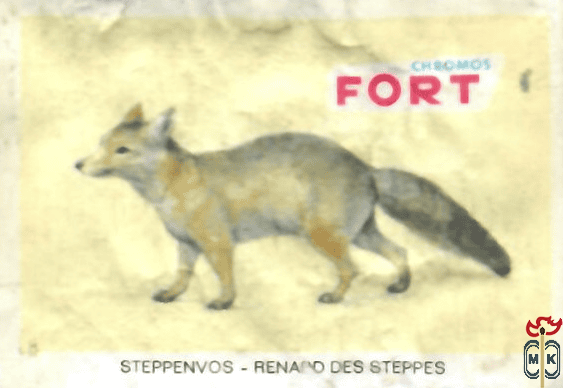 Steppenvos - Renard des steppes FORT chromos