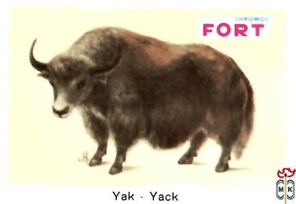 Yak -Yack FORT chromos