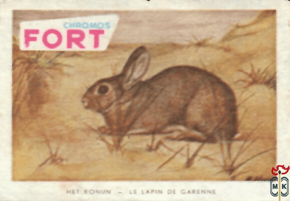 Met konijn Le lapin de carenne FORT chromos