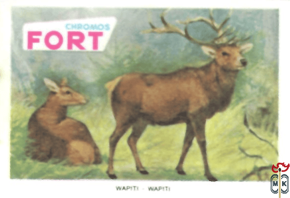 Wapiti Wapiti FORT chromos