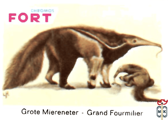 Grote Miereneter - Grand Fourmilier FORT chromos