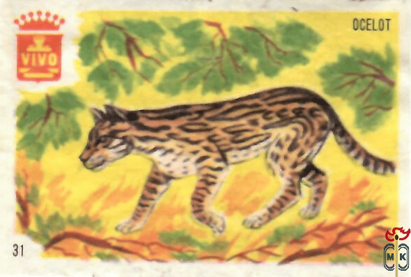 Ocelot VIVO