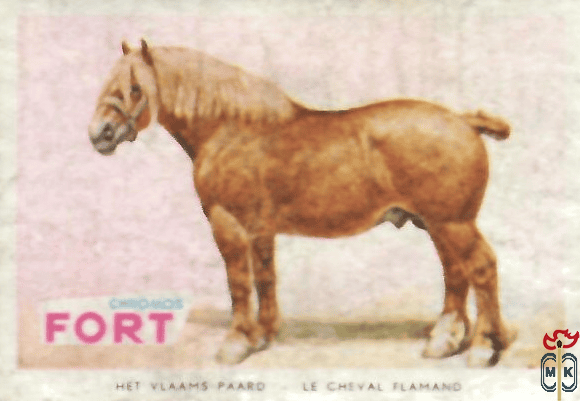 Het vlaams paaro Le cheval flamano FORT chromos