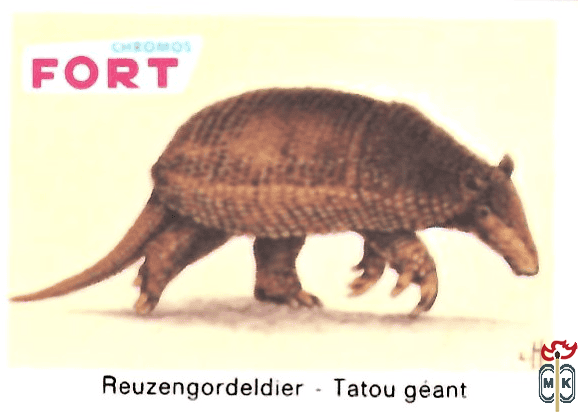 Reuzengordeldier - Tatou geant FORT chromos