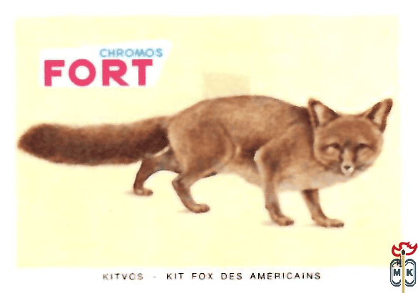 Kitvcs - kit fox des americains FORT chromos