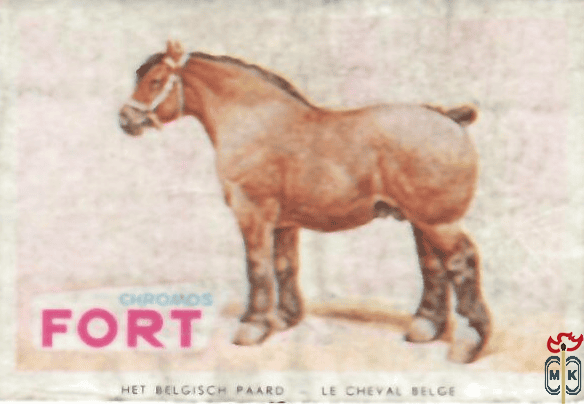 Het Belgisch paard Le cheval Belge FORT chromos