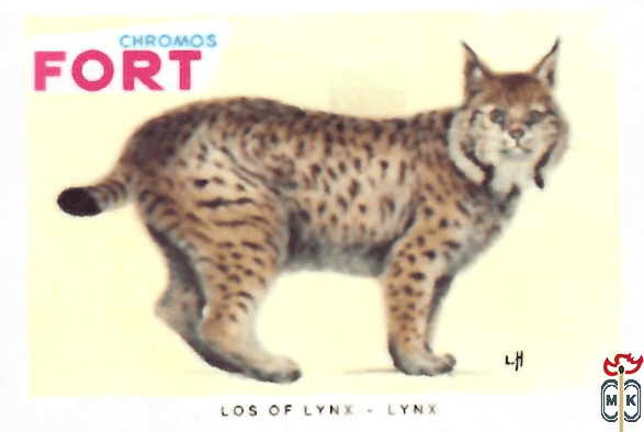 Los of lynx - Lynx FORT chromos