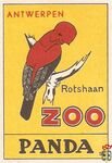 56 Panda  Rotshaan Zoo Antwerpen