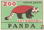 53 Panda  Kleine panda Zoo Antwerpen