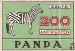 52 Panda  Zebra Zoo Antwerpen