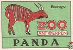 51 Panda  Bongo Zoo Antwerpen