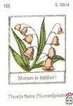 Barum to fuhlloe? Neuefte tleine Blumentpradje s. VII/4